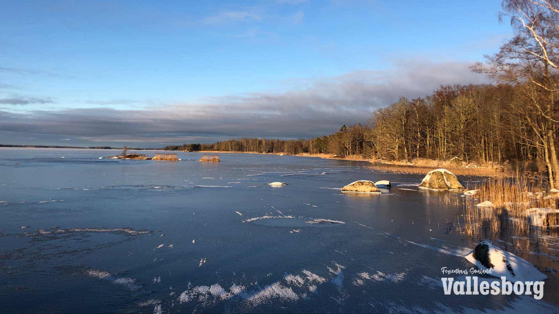 Åsnens nationalpark på vintern