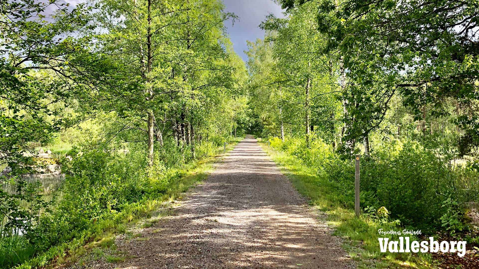 Åsnen National Park